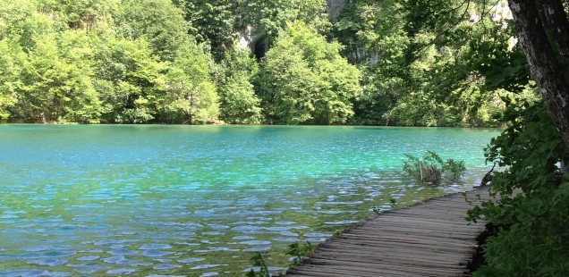 water and trees